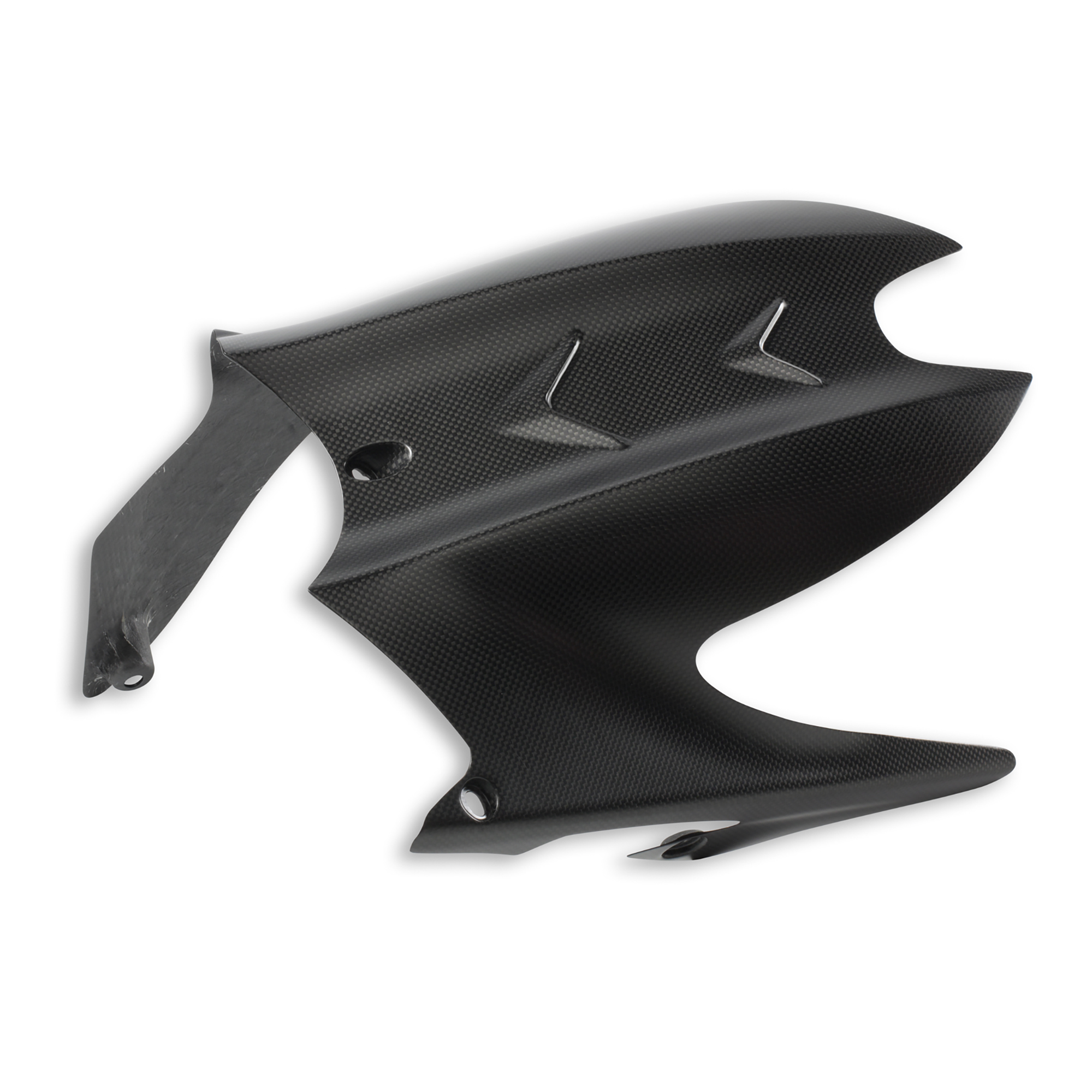 Carbon rear mudguard.